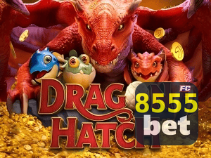 8555BET PIX instantâneo Brasil - Depósito e saque em minutos 24/7